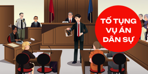 Tư vấn giải quyết vụ việc dân sự